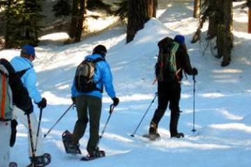 Snowshoe tour of 3 people