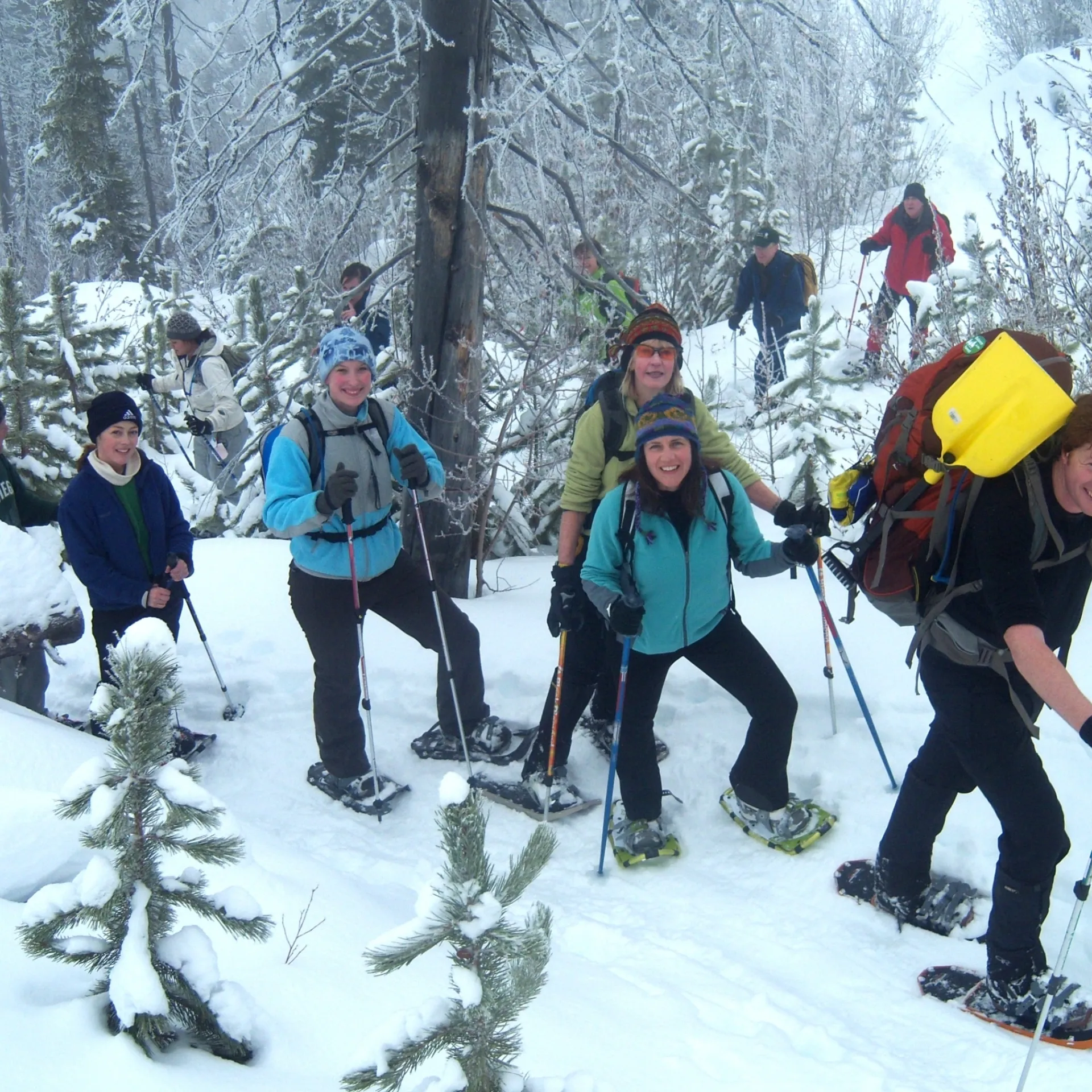 Group snowshoeing through the woods