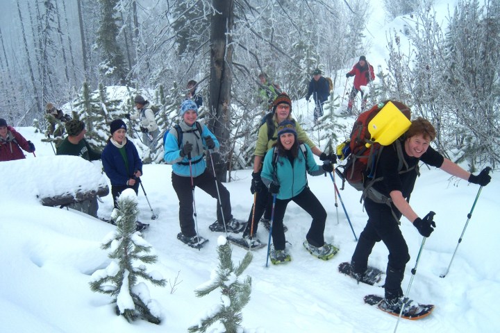 Group snowshoeing through the woods